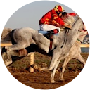 שניר קלומידי profile picture